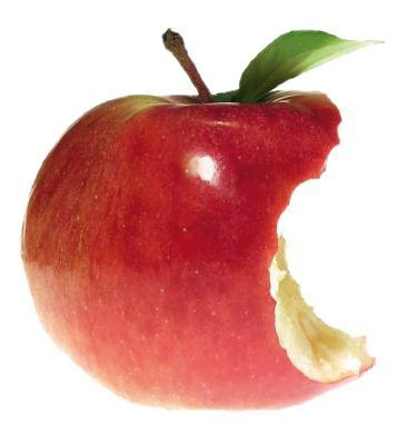 lamignonette: